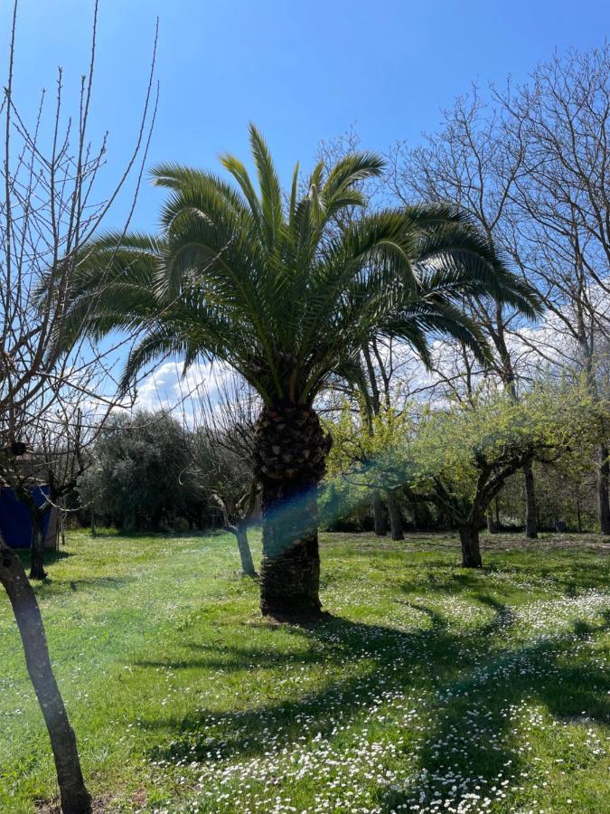 B & B Casal Pereto Valmontone Exterior photo