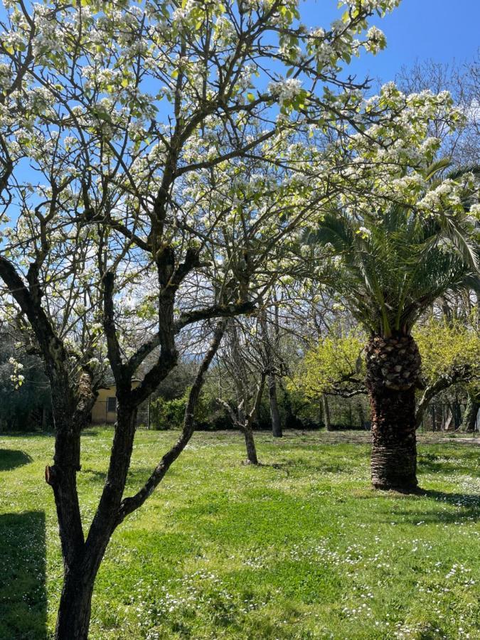 B & B Casal Pereto Valmontone Exterior photo