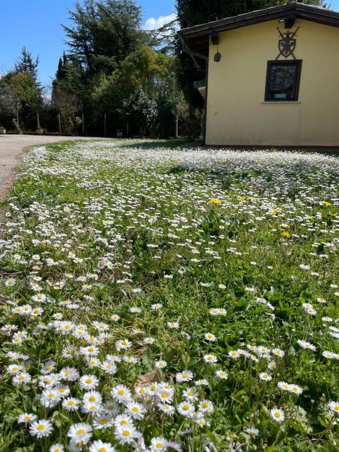 B & B Casal Pereto Valmontone Exterior photo